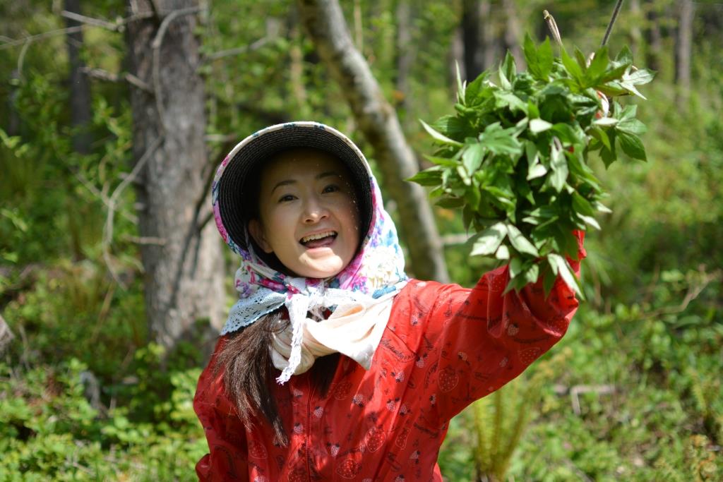 山菜の王様だと？ シドケ狩り | 札幌圏でつくる、食べる、料理する